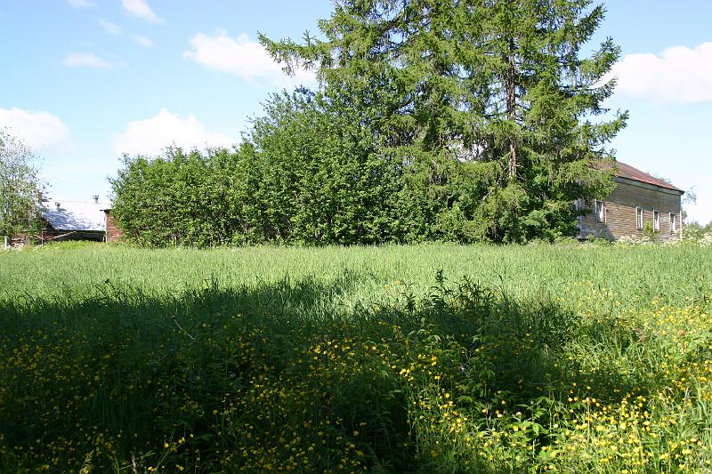 lehmila_juhannus_2005 022.jpg